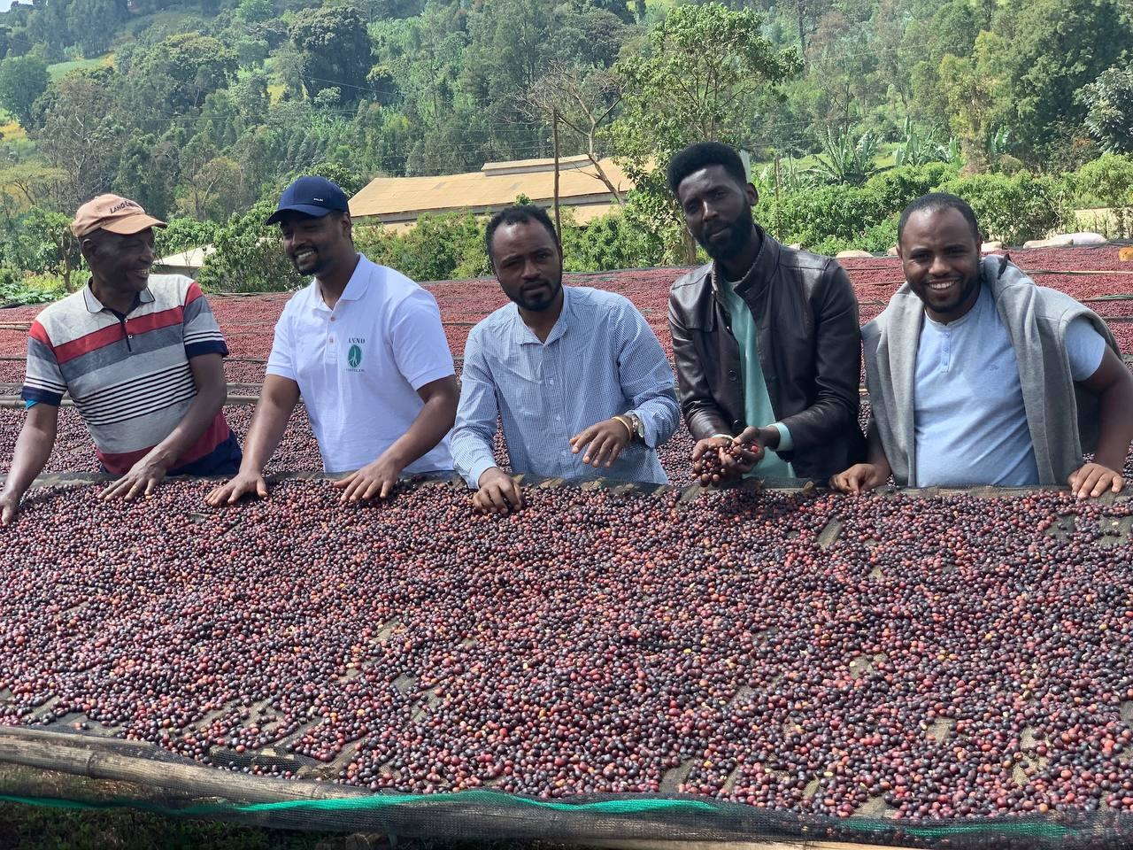 Sommaruga Coffee Ethiopia Gerba